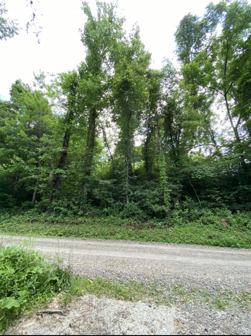 Tbd Norris Road, Unit 67 Butler, TN 37640 - Photo 3 of 12 Front view