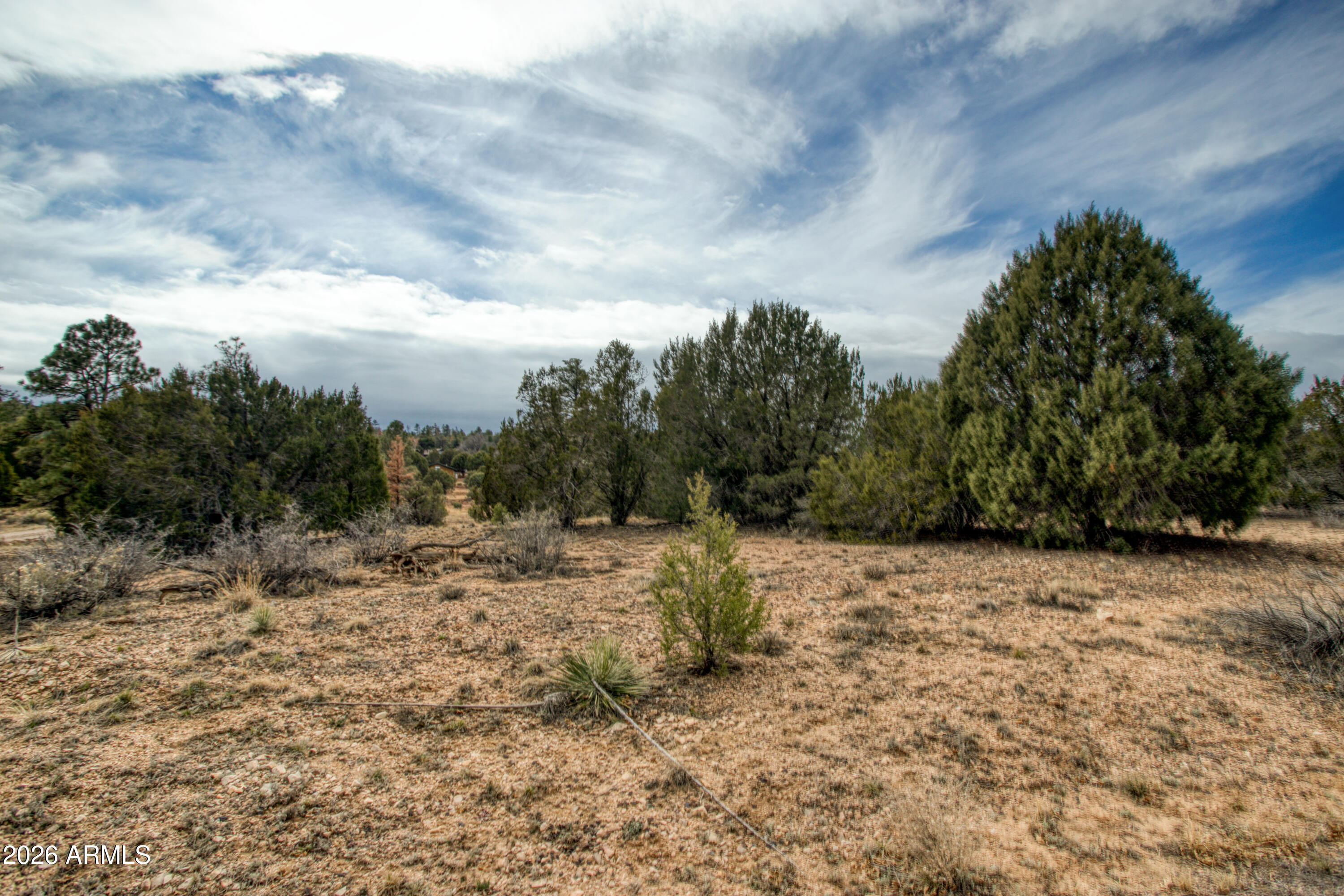 7067 Saddle Bow Road Show Low, AZ 85901 - Photo 7 of 7 PaxmanPh_IMG_7998