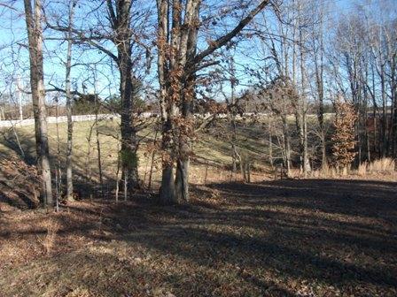 0 Snow Creek Road Rocky Mount, VA 24151 - Photo 1 of 7 1.4 Acre Lot