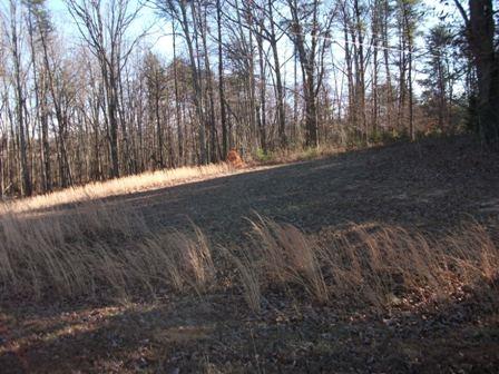 0 Snow Creek Road Rocky Mount, VA 24151 - Photo 4 of 7 4 Property