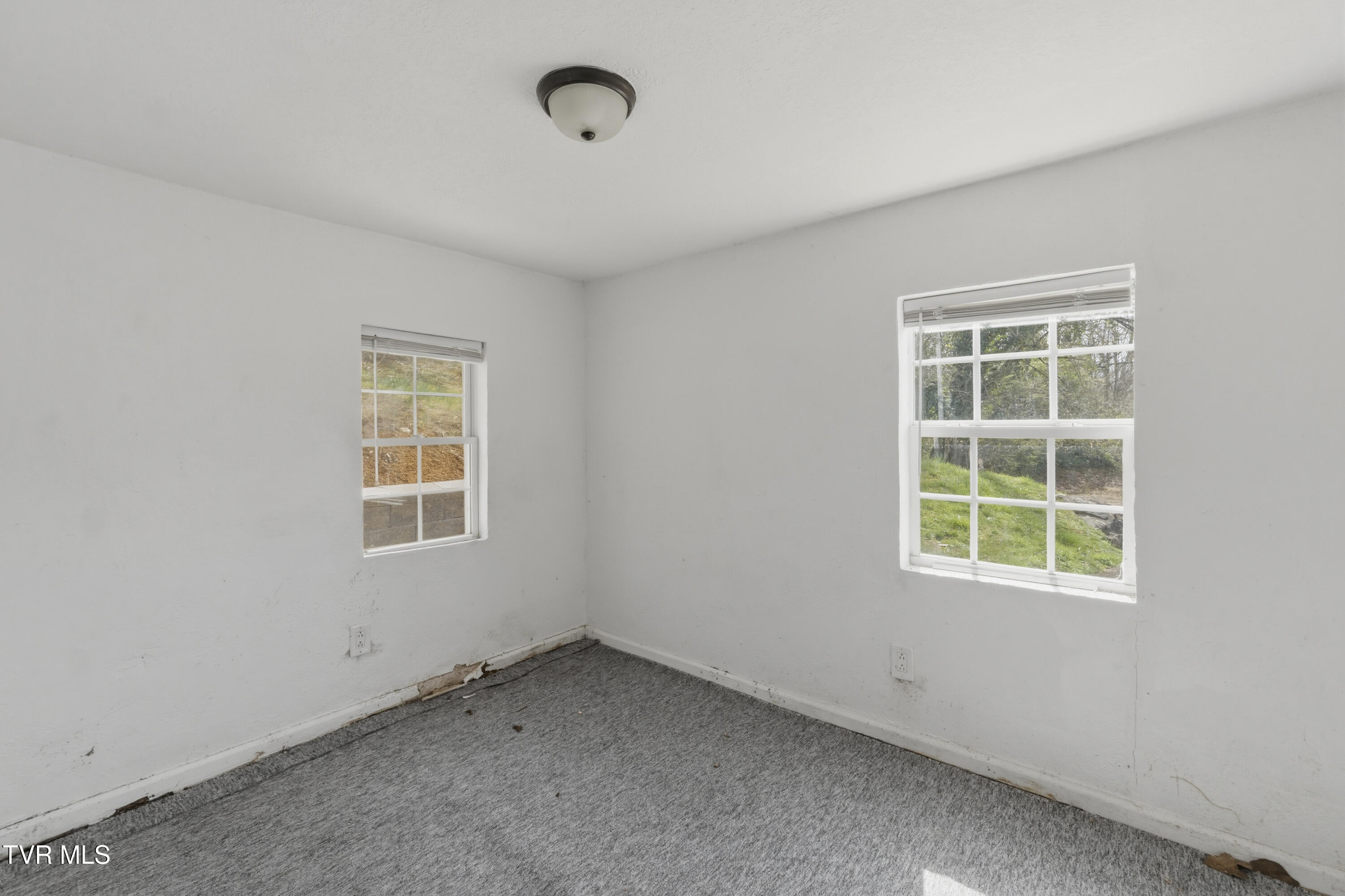 346 Locust Street Greeneville, TN 37745 - Photo 15 of 21 DSC04709