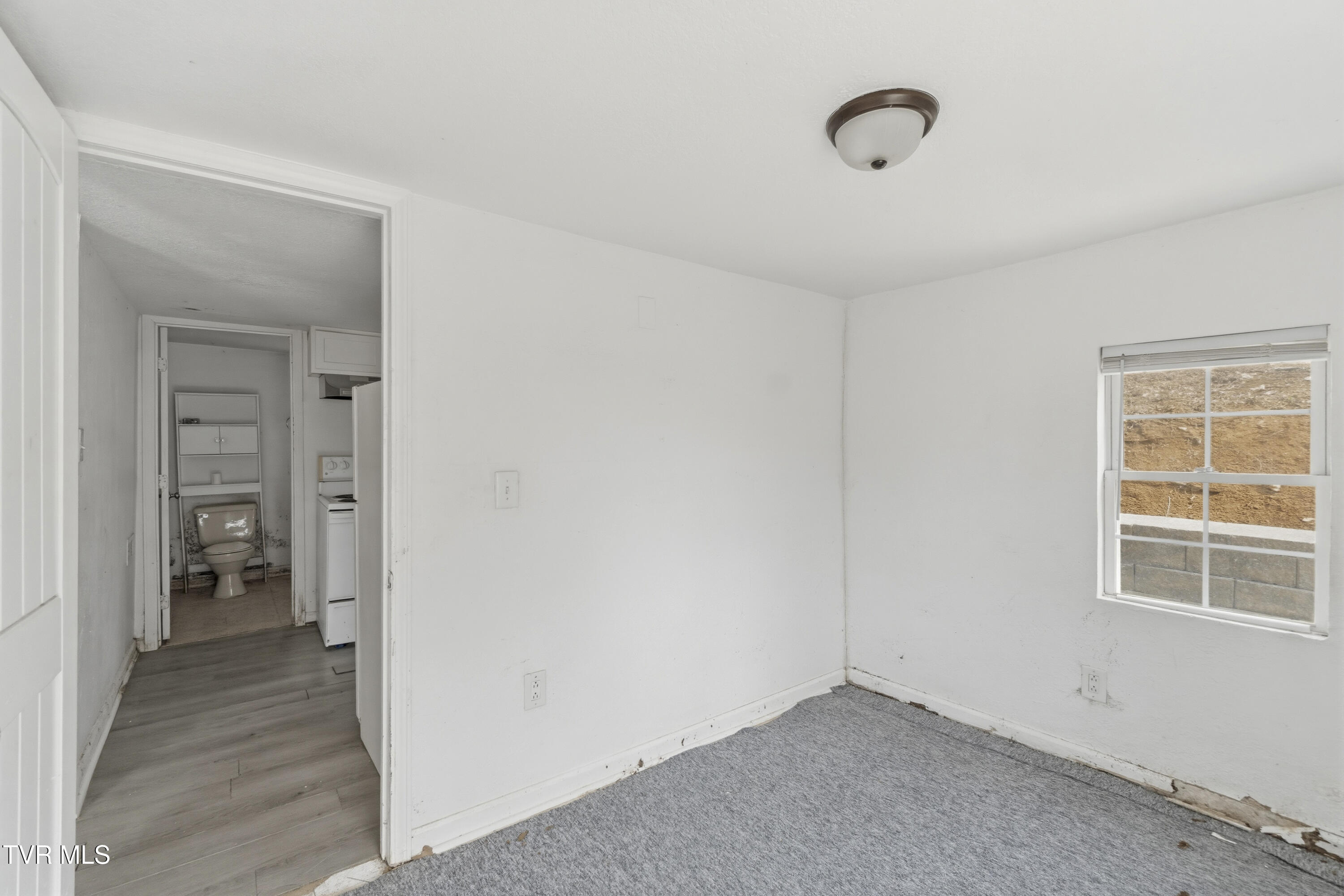 346 Locust Street Greeneville, TN 37745 - Photo 16 of 21 DSC04715