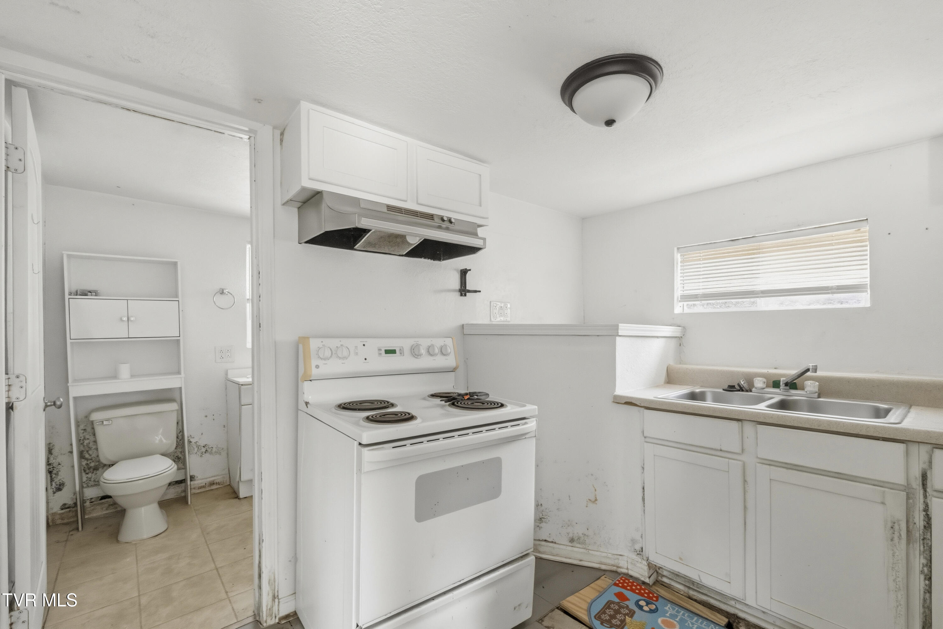 346 Locust Street Greeneville, TN 37745 - Photo 17 of 21 DSC04718