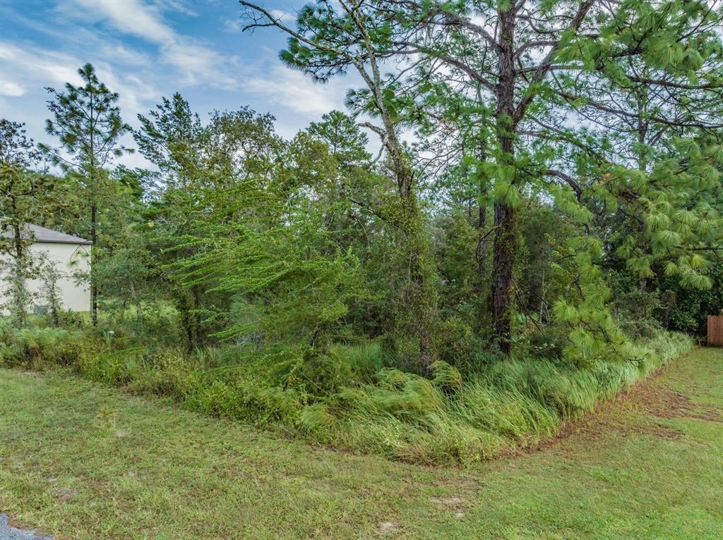 0 Kiska Wren Road Weeki Wachee, FL 34614 - Photo 1 of 1 Gallery Image 1