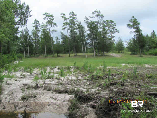 18439 Vaughn Road Seminole, AL 36574 - Photo 4 of 7