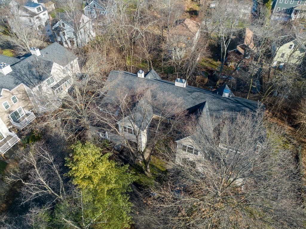 160 Pine Street, Unit 27 Newton, MA 02466 - Photo 30 of 30 a view of a yard with plants and trees