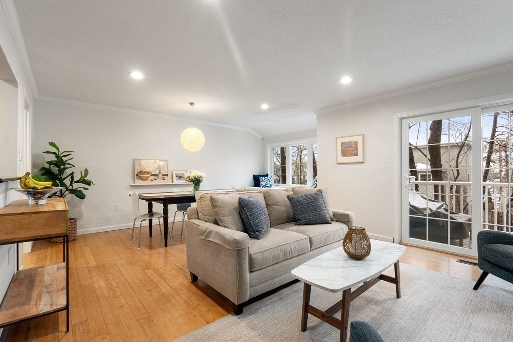 160 Pine Street, Unit 27 Newton, MA 02466 - Photo 10 of 30 a living room with furniture and a potted plant