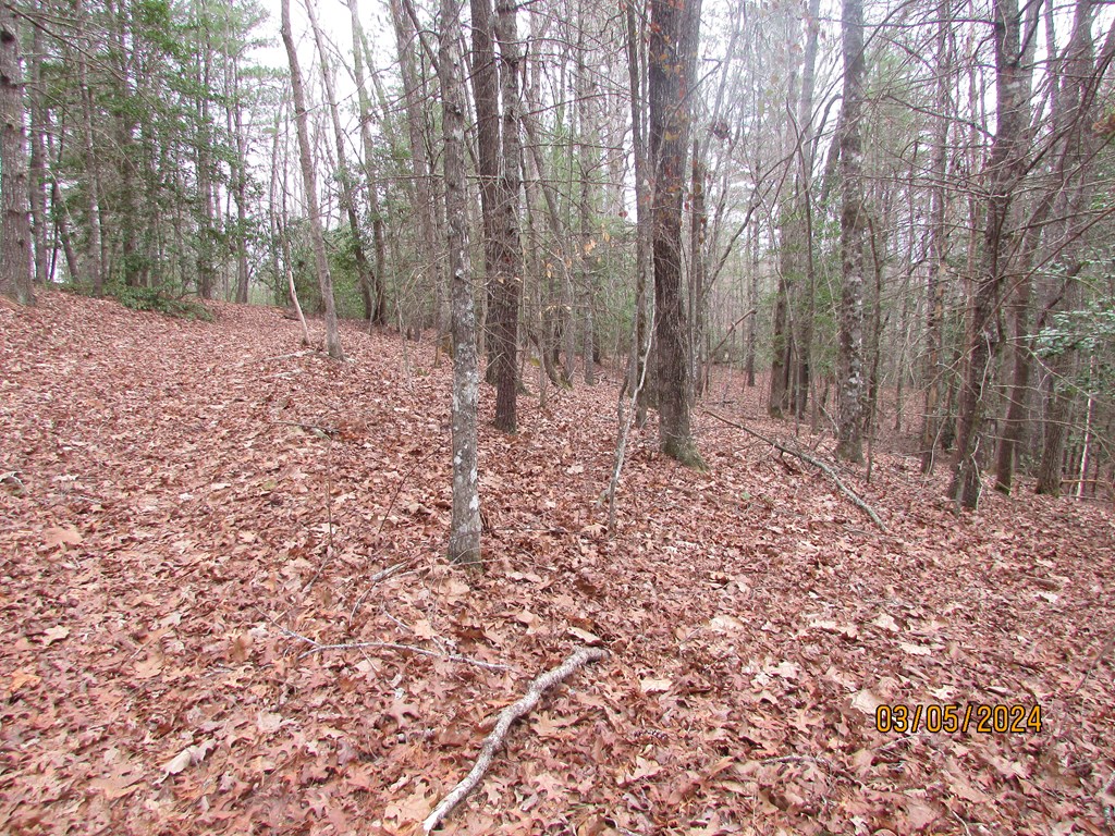 0 Glen Stalcup Road Murphy, NC 28906 - Photo 11 of 21 Gallery Image 11