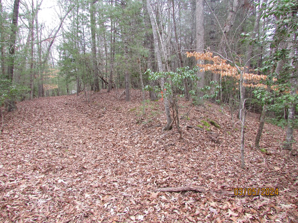 0 Glen Stalcup Road Murphy, NC 28906 - Photo 12 of 21 Gallery Image 12