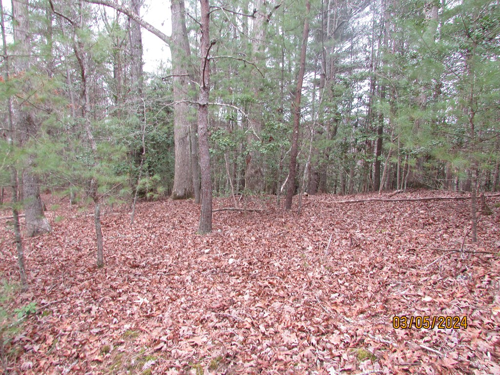 0 Glen Stalcup Road Murphy, NC 28906 - Photo 13 of 21 Gallery Image 13