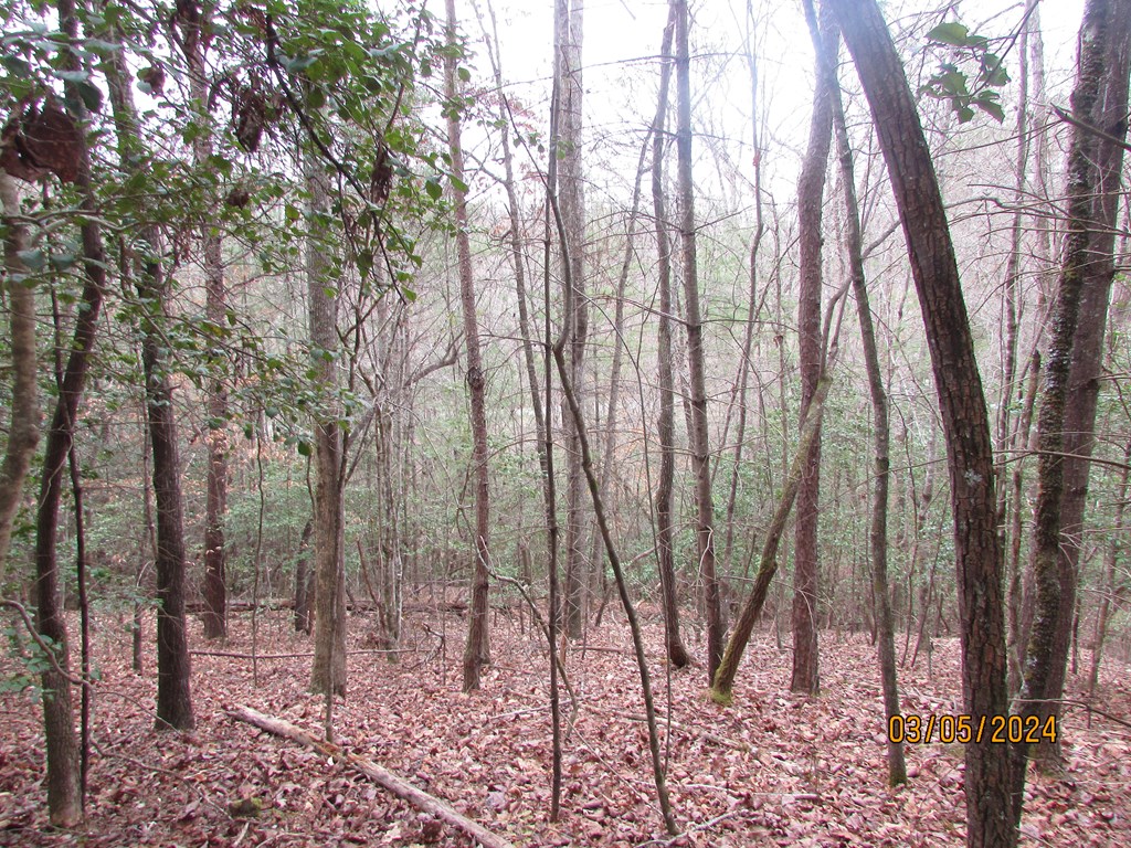 0 Glen Stalcup Road Murphy, NC 28906 - Photo 14 of 21 Gallery Image 14