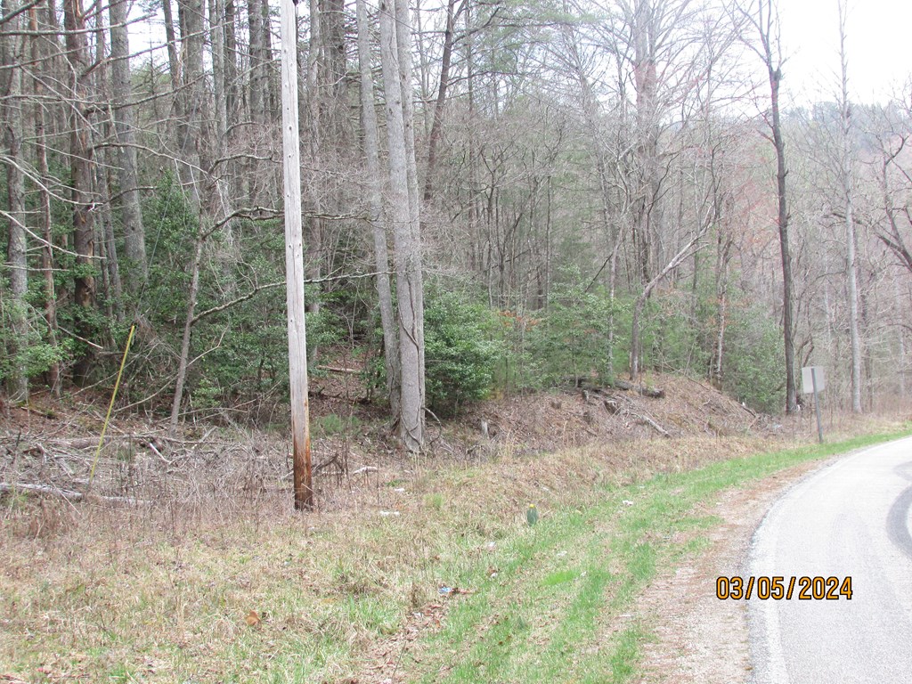 0 Glen Stalcup Road Murphy, NC 28906 - Photo 16 of 21 Gallery Image 16