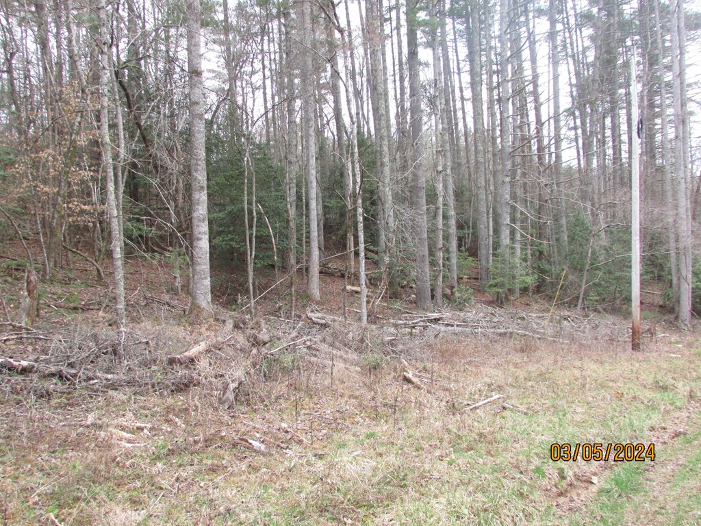 0 Glen Stalcup Road Murphy, NC 28906 - Photo 17 of 21 Gallery Image 17