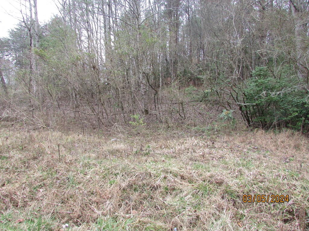 0 Glen Stalcup Road Murphy, NC 28906 - Photo 18 of 21 Gallery Image 18