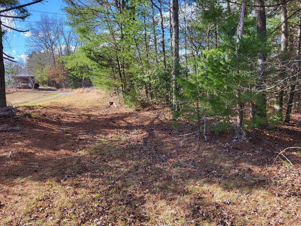 0 Glen Stalcup Road Murphy, NC 28906 - Photo 20 of 21 Gallery Image 20
