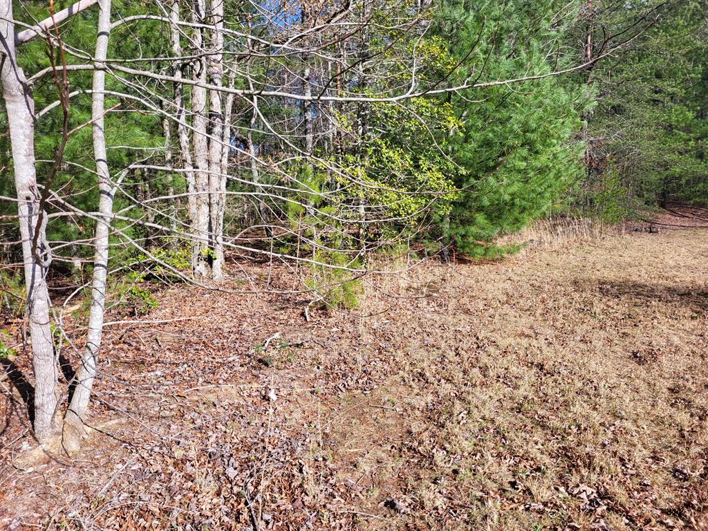 0 Glen Stalcup Road Murphy, NC 28906 - Photo 21 of 21 Gallery Image 21