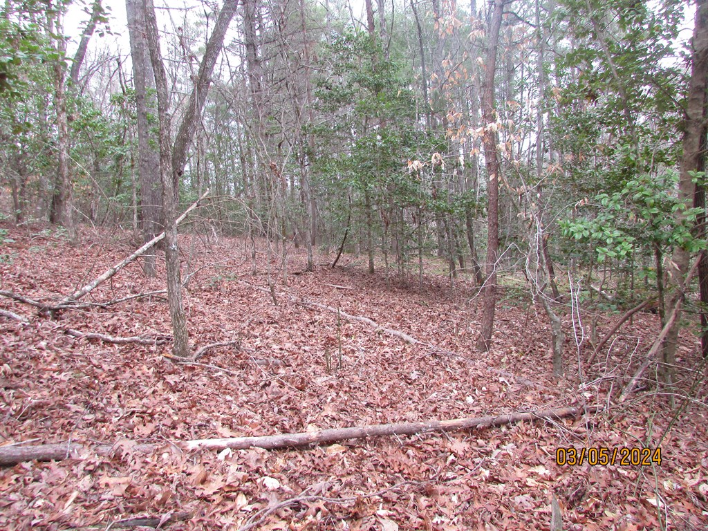0 Glen Stalcup Road Murphy, NC 28906 - Photo 9 of 21 Gallery Image 9