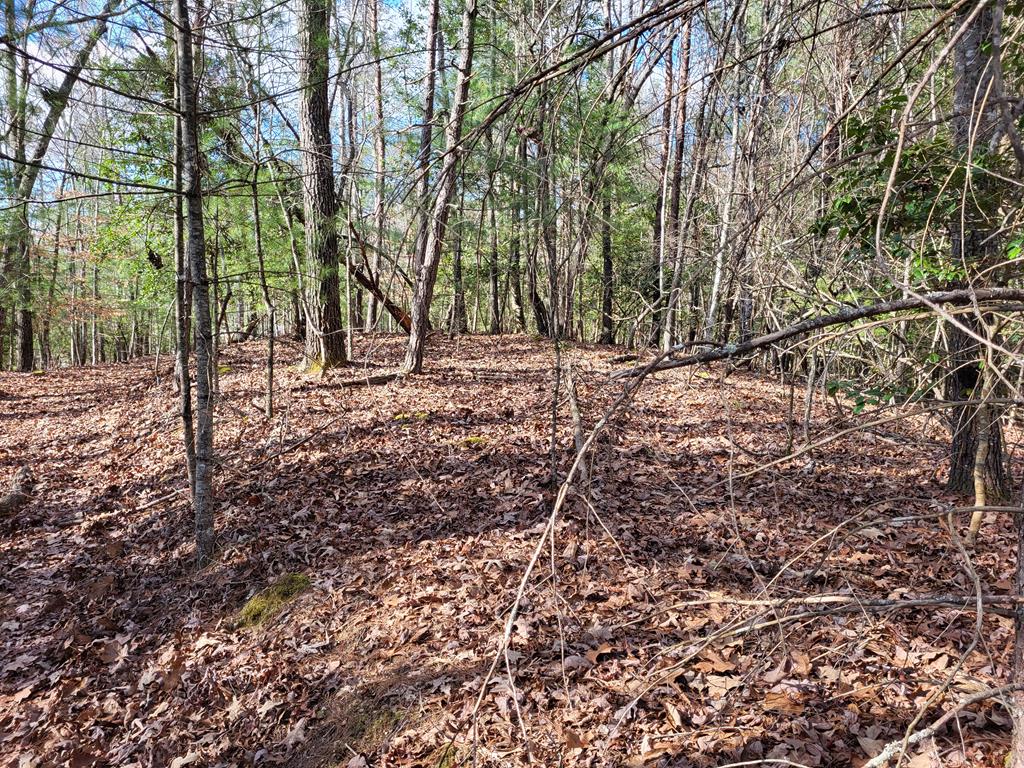 0 Glen Stalcup Road Murphy, NC 28906 - Photo 10 of 21 Gallery Image 10