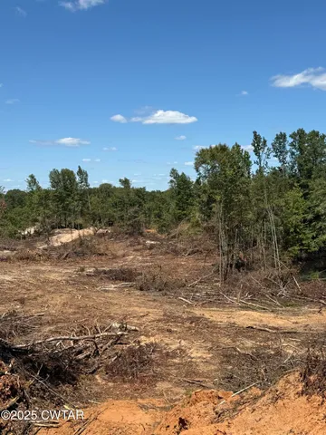 a view of a yard with an trees