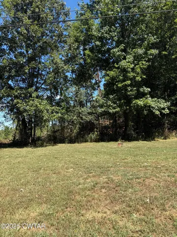 a view of yard with large tree