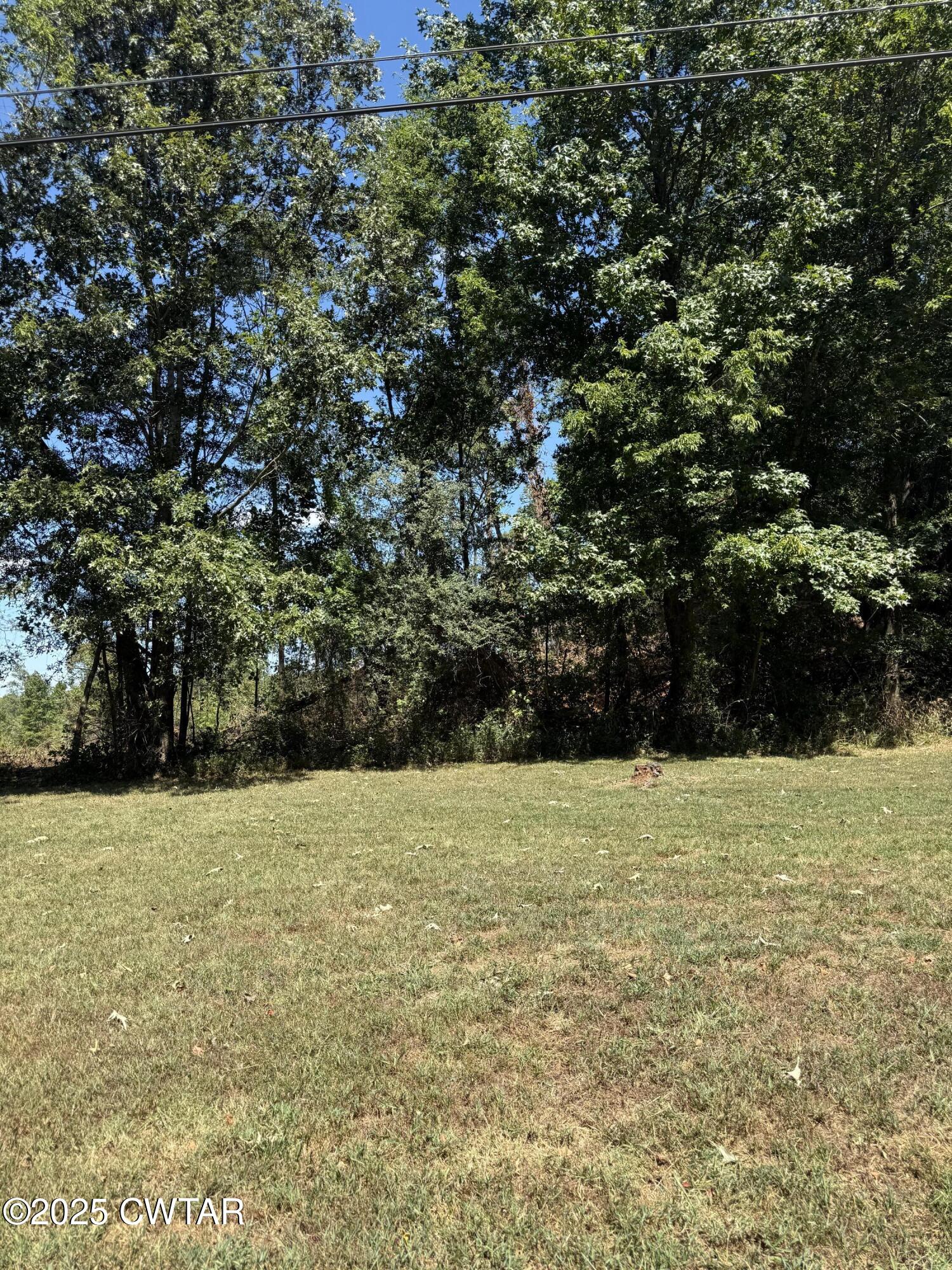 0 Harrison Street Paris, TN 38242 - Photo 2 of 14 a view of yard with large tree