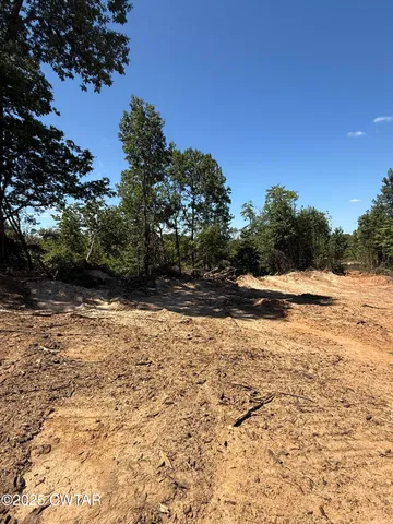 a view of yard with large trees