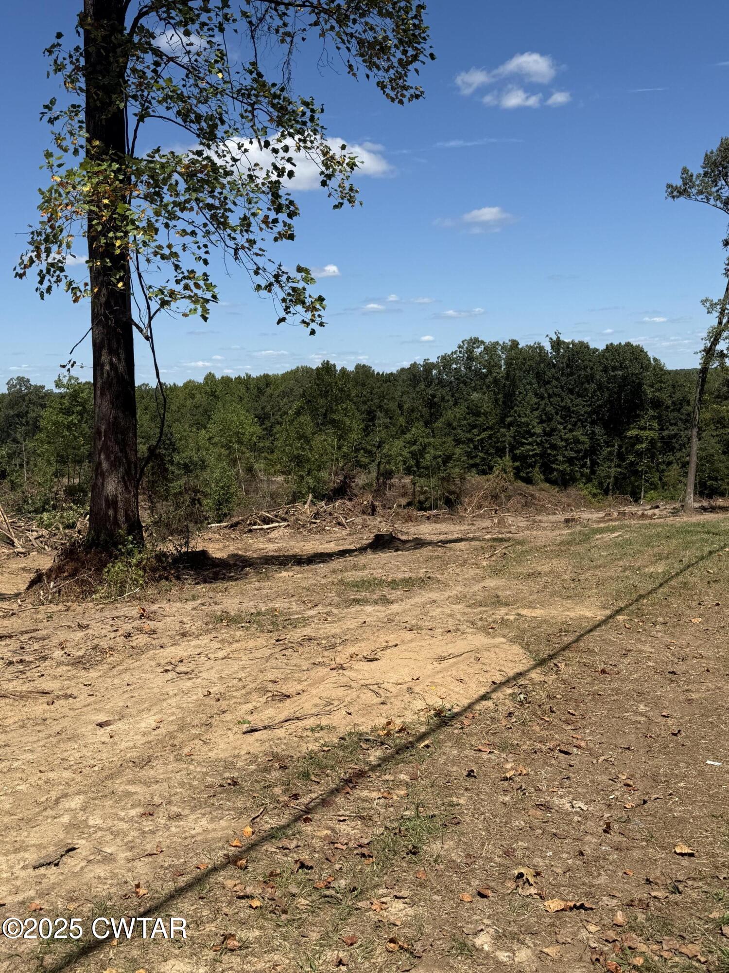 0 Harrison Street Paris, TN 38242 - Photo 6 of 14 a view of a yard