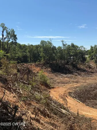 a view of a yard with a tree