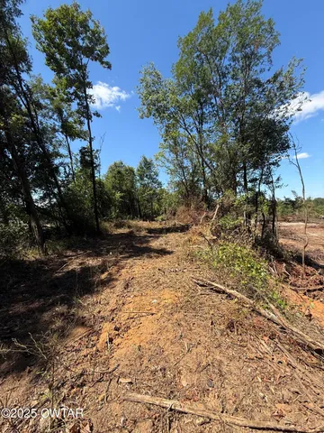 a view of backyard with outdoor space