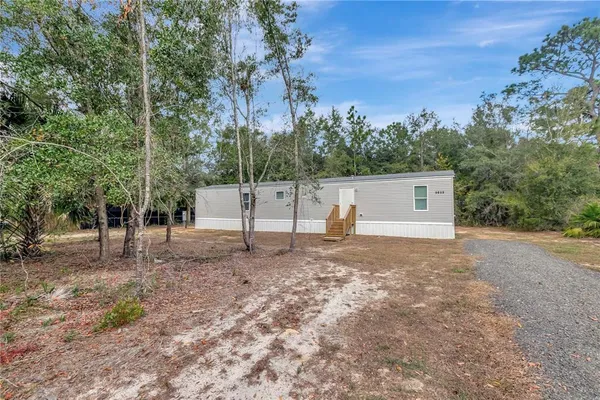 a view of a dry yard with trees
