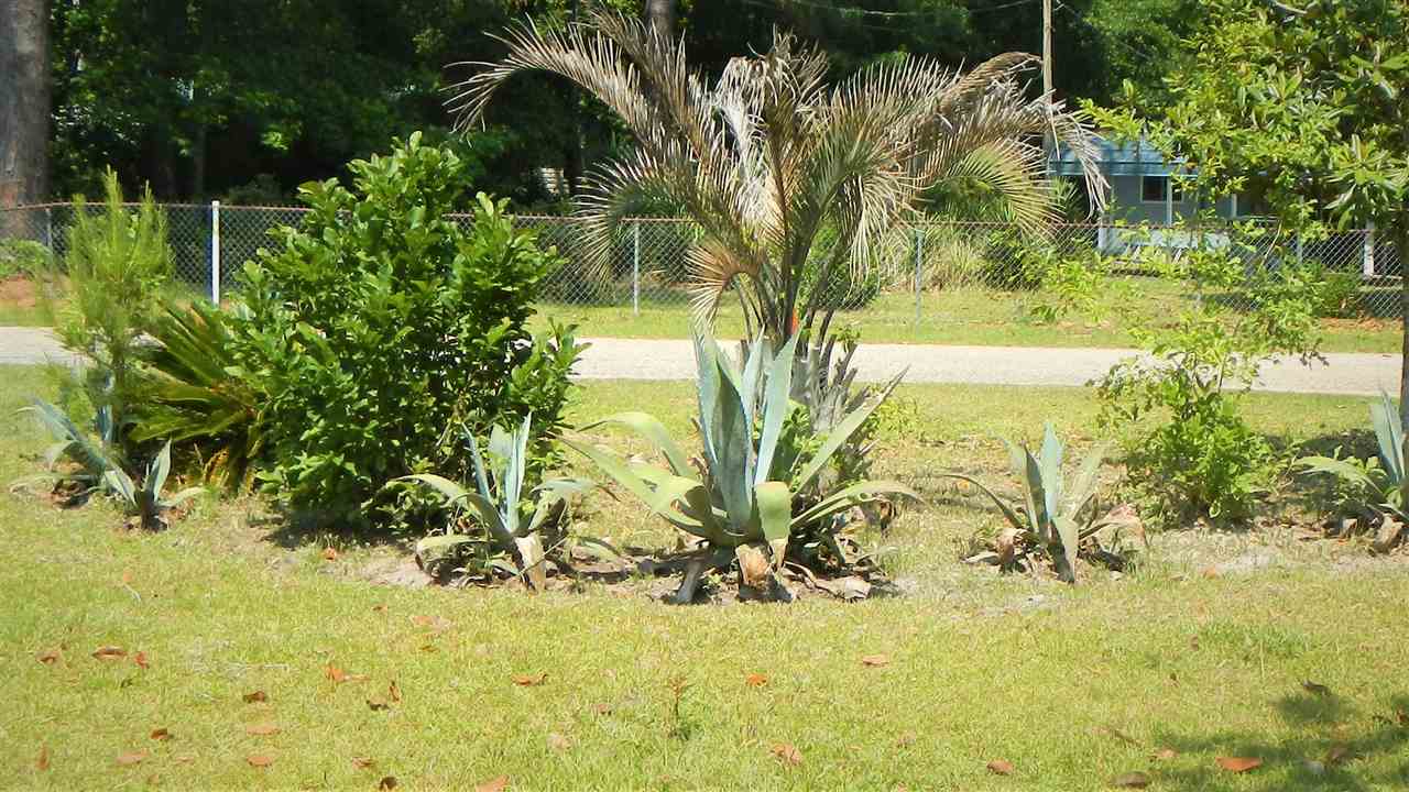 7389 Coopers Landing Road Foley, AL 36535 - Photo 15 of 25