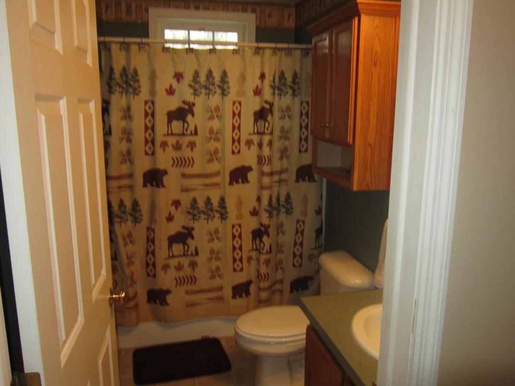152 Sandy Pond Road South Wakefield, NH 03872 - Photo 11 of 22 Gallery Image 11
