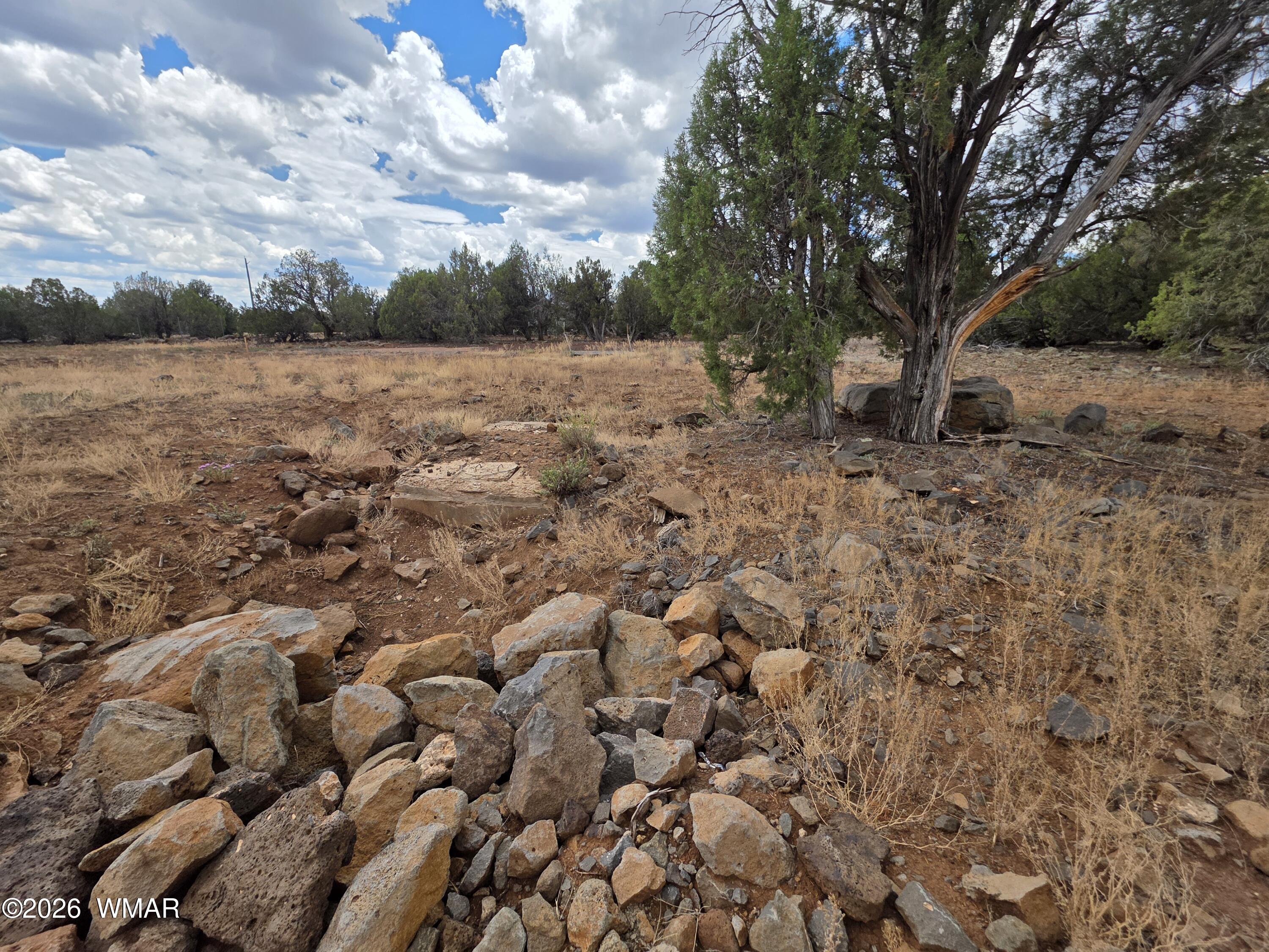 2075 Parker Ranch Road Show Low, AZ 85901 - Photo 7 of 29