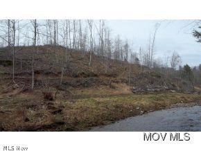 0 C Road Harrisville, WV 26362 - Photo 3 of 10