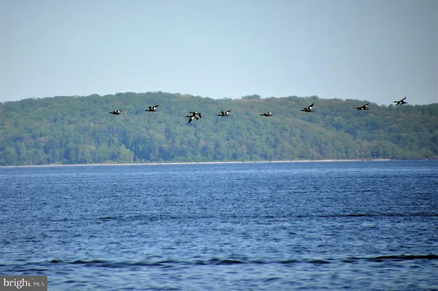 a group of people standing around a fruit stand
