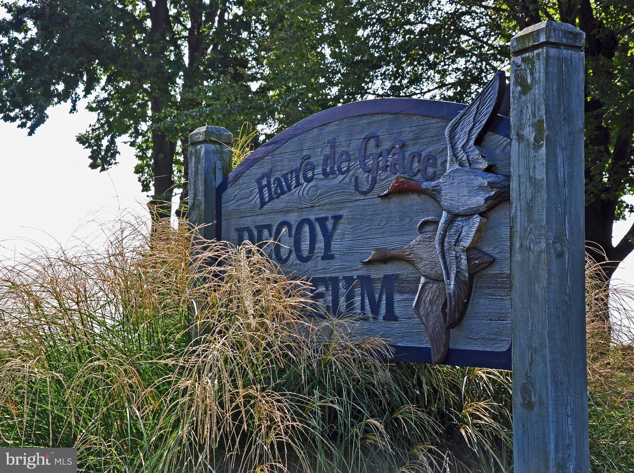 406 Bold Ruler Court, Unit 207 Havre de Grace, MD 21078 - Photo 54 of 57 a view of a wooden house with a tree in the background