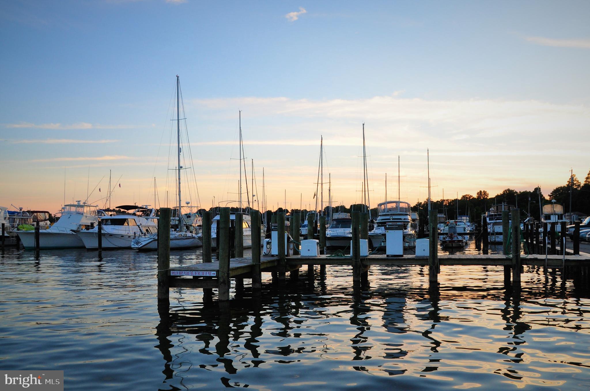 406 Bold Ruler Court, Unit 207 Havre de Grace, MD 21078 - Photo 55 of 57 a view of water with boats and trees in the background