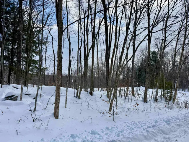 $68,900 | Lot 1-161 High Peak Way, Wilmington, VT 05363