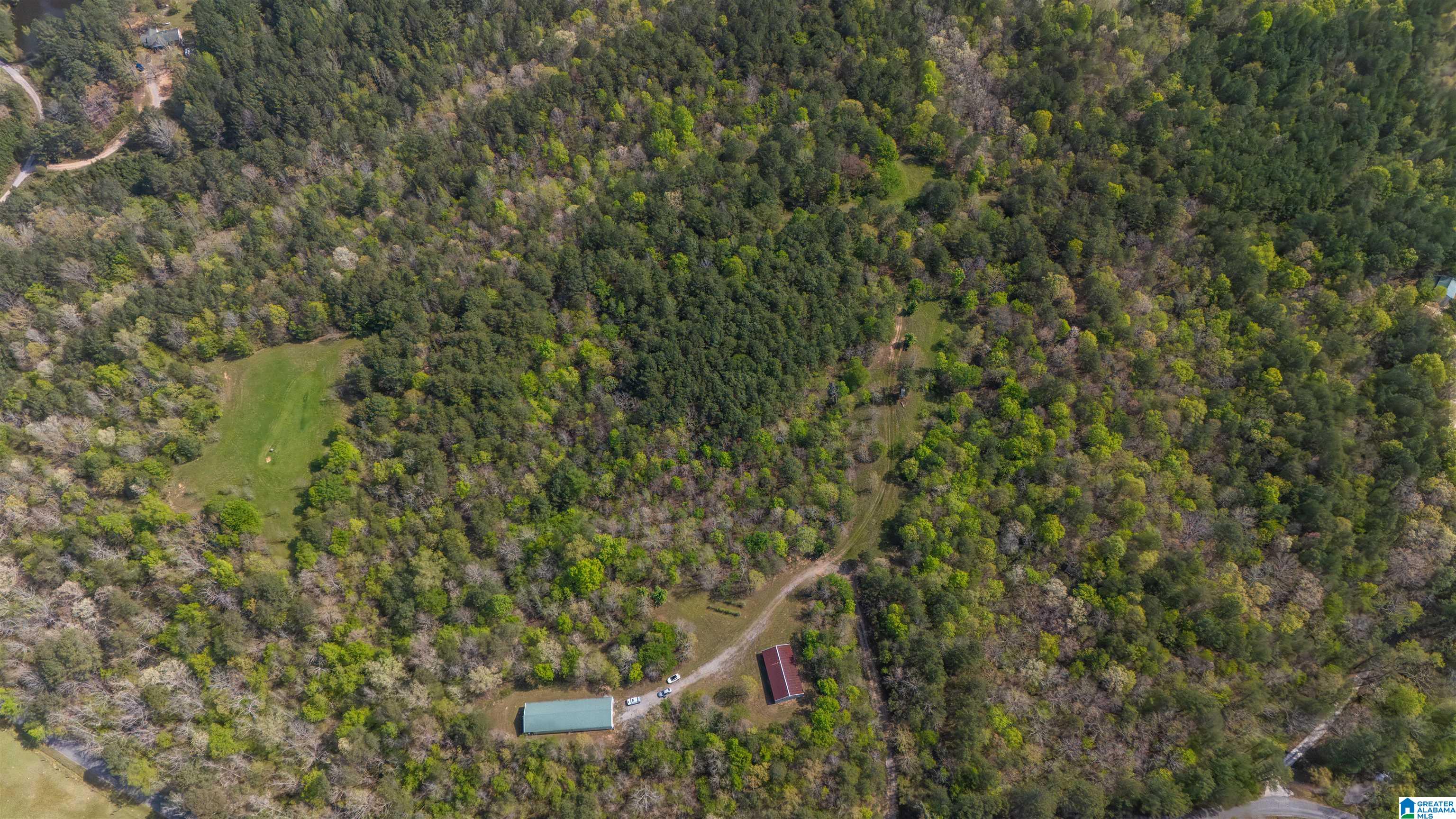 2121 Center Hill Road Trafford, AL 35172 - Photo 56 of 100
