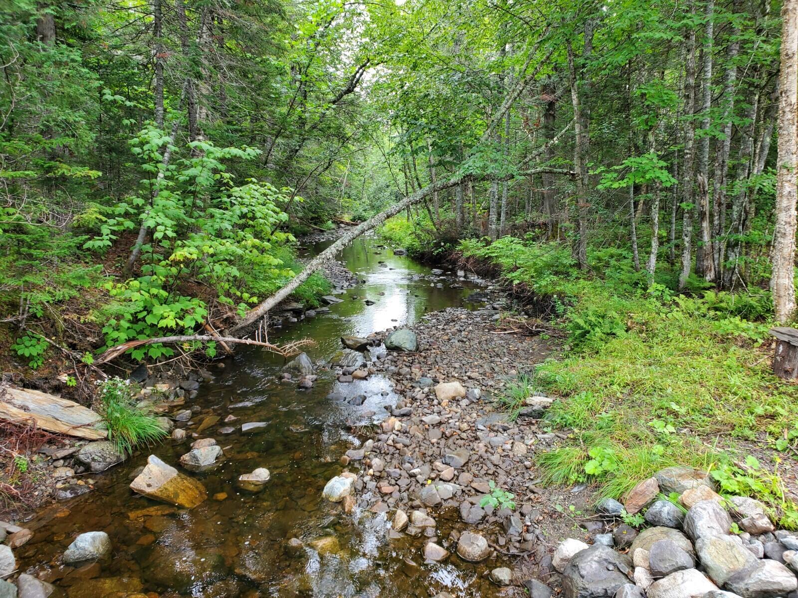 Tbd Tbd Woods Rd Mount Mount Chase, ME 04765 - Photo 2 of 6 20210818_102956