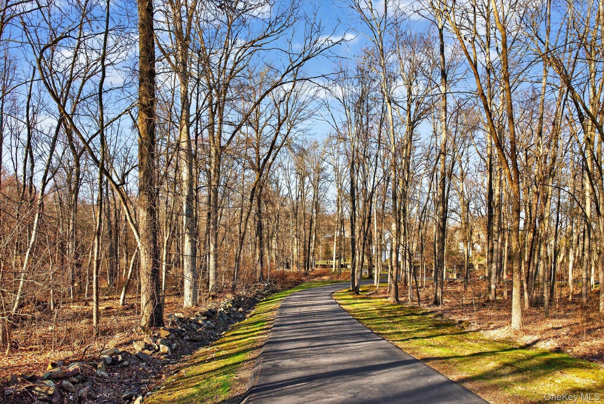 7 Farm Hollow Road New Windsor, NY 12553 - Photo 4 of 36 Surrounding community with a wooded view