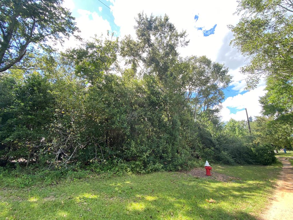 0 Ruby Drive Dothan, AL 36303 - Photo 1 of 3