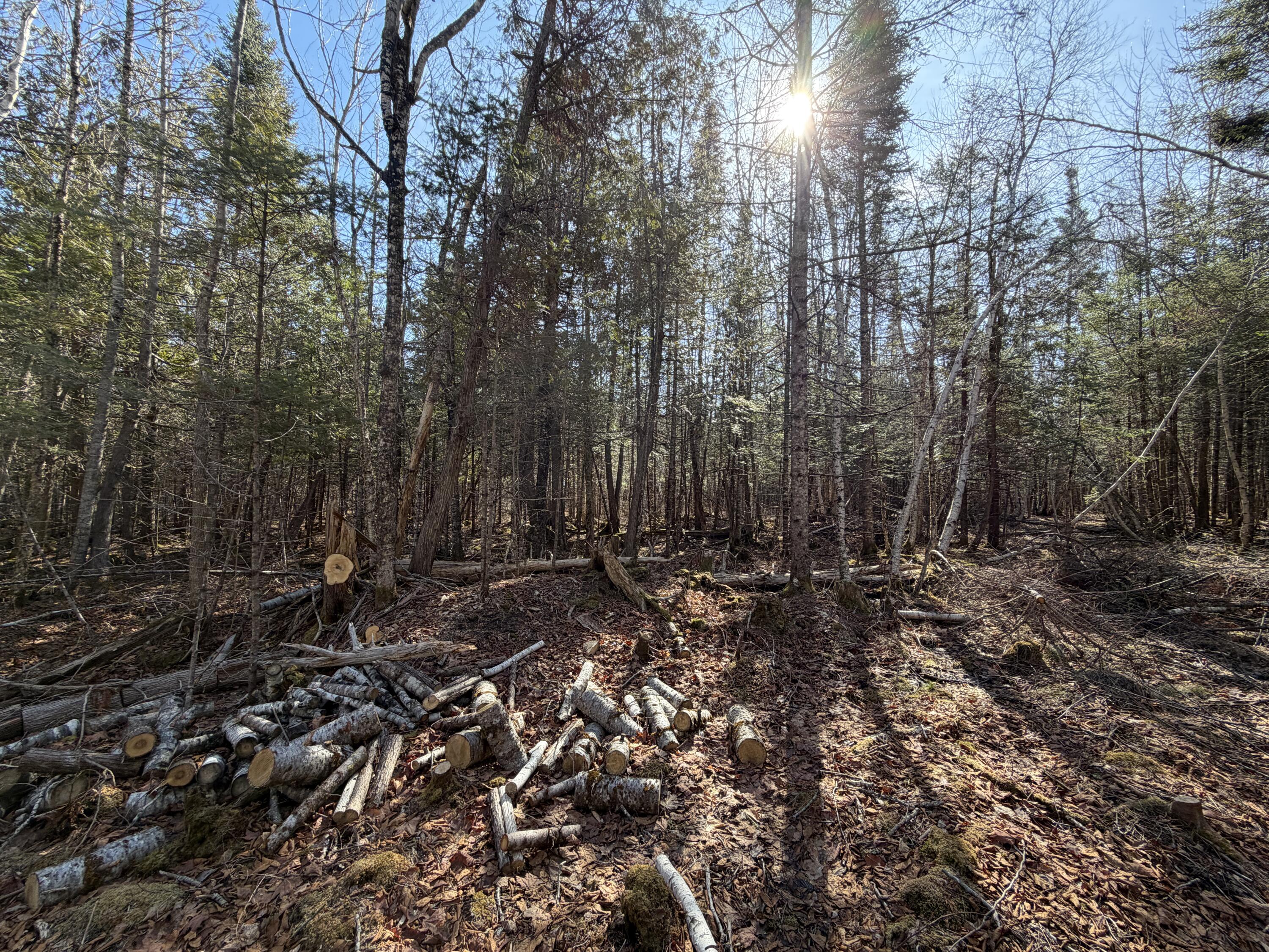 358 Puddledock Road Charleston, ME 04422 - Photo 9 of 17 Shhhhh...Hear the Quiet