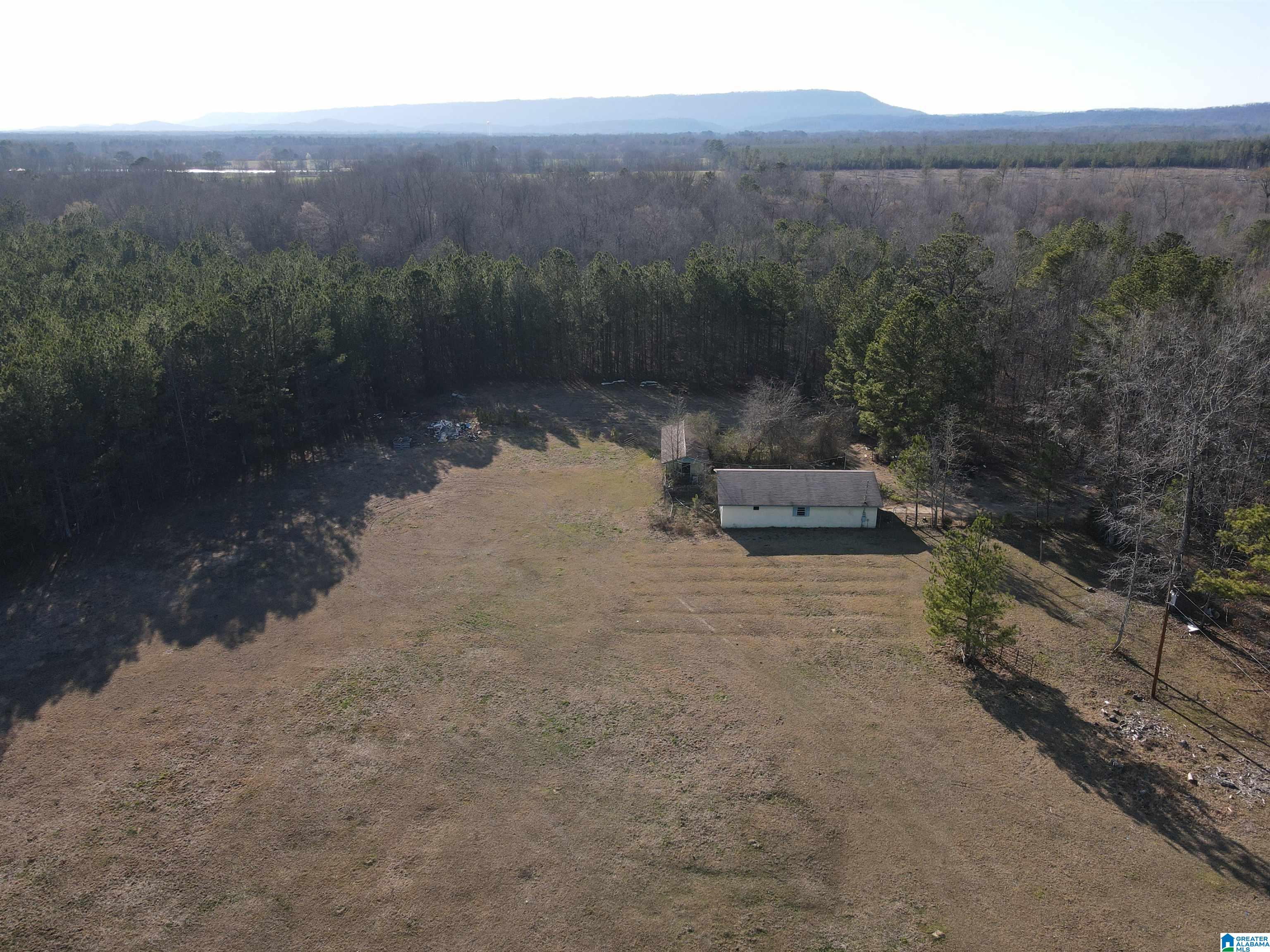 1016 Wesson Lake Road Attalla, AL 35954 - Photo 32 of 38 Gallery Image 32