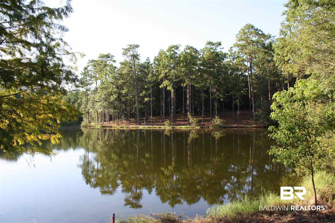 43 Shady Lane Hope Hull, AL 36043 - Photo 19 of 19