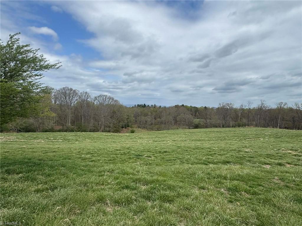 3556 White Plains Road Roaring River, NC 28669 - Photo 45 of 49