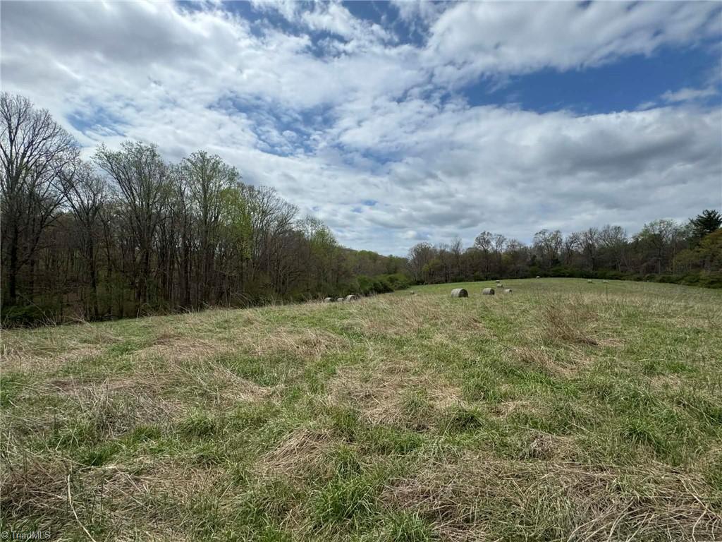 3556 White Plains Road Roaring River, NC 28669 - Photo 46 of 49