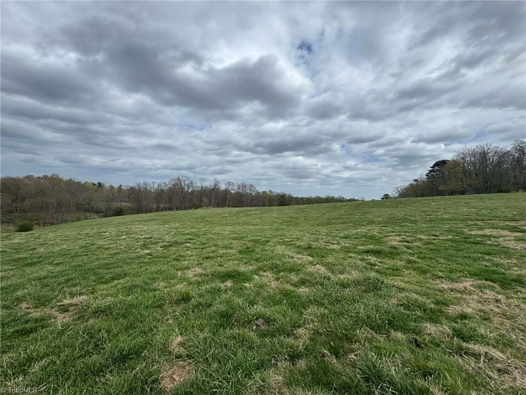 3556 White Plains Road Roaring River, NC 28669 - Photo 47 of 49