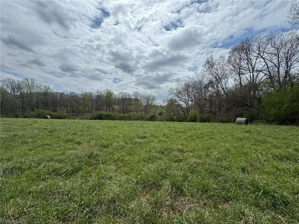 3556 White Plains Road Roaring River, NC 28669 - Photo 48 of 49