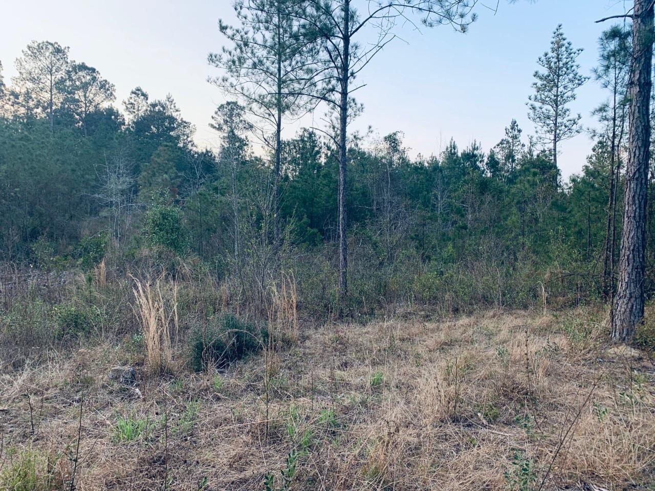 23180 Lonnie Hadley Road Perdido, AL 36562 - Photo 2 of 11